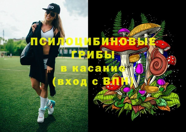дживик Алексин