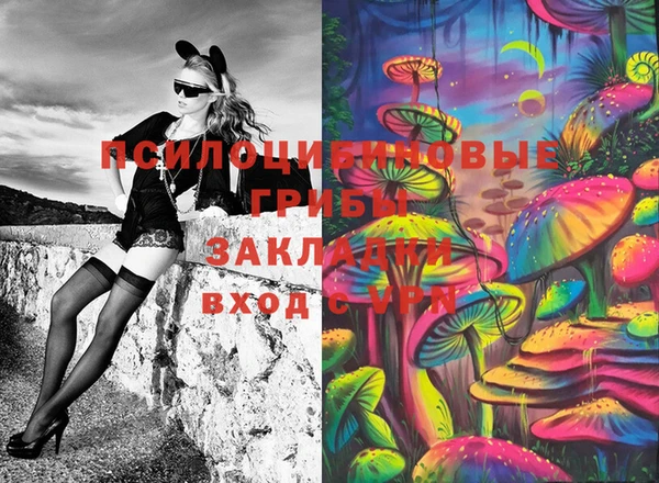 дживик Алексин