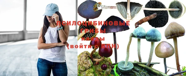 дживик Алексин